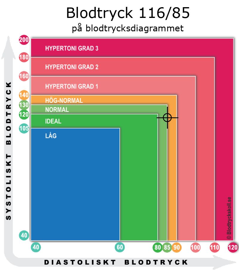 Blodtryck 116 över 85 på blodtrycksdiagram