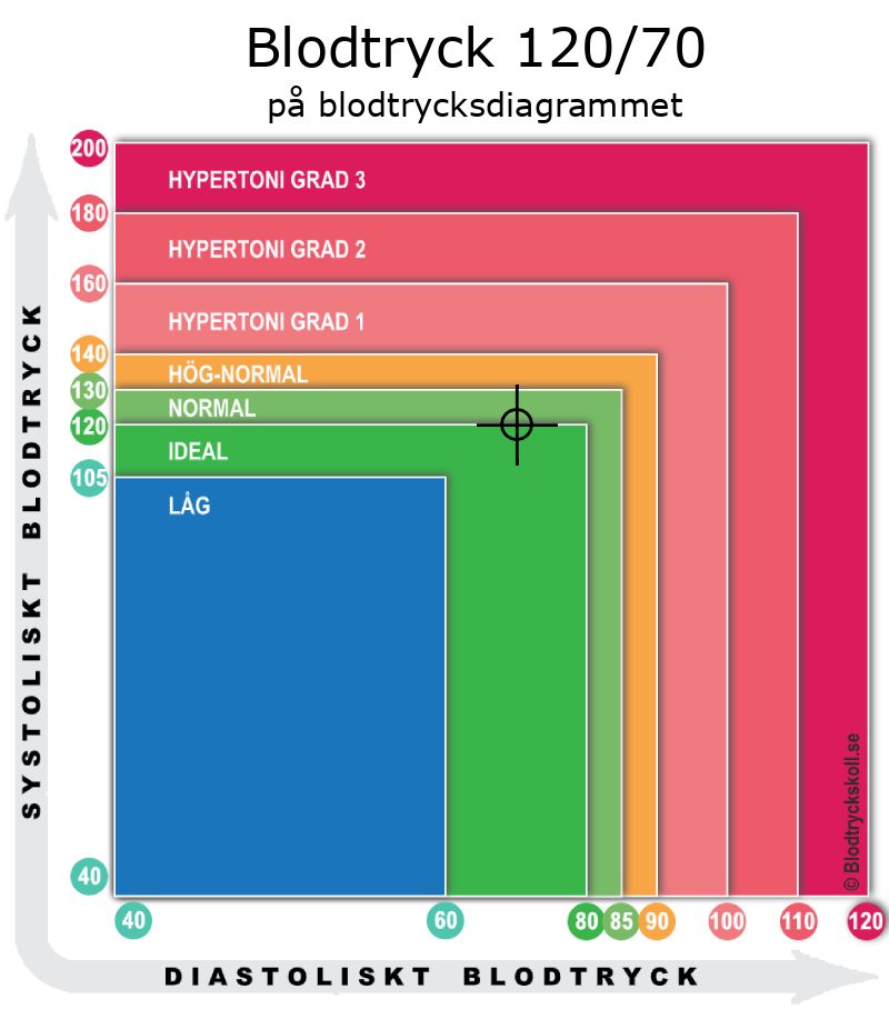 Blodtryck 120 över 70 på blodtrycksdiagram