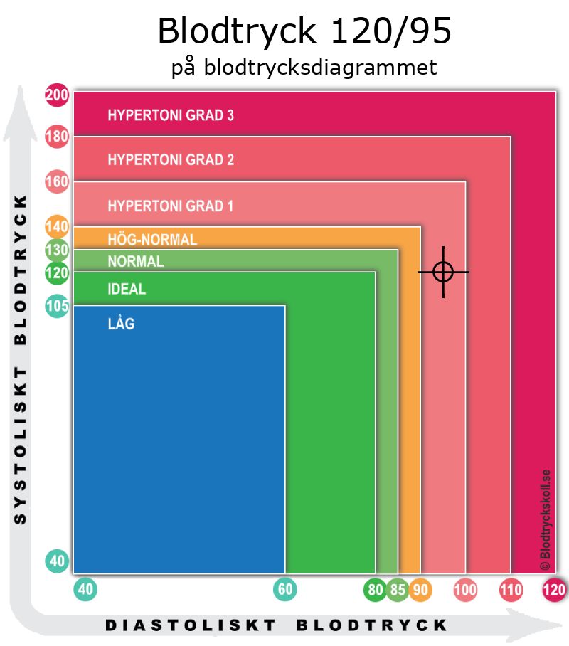 Blodtryck 120 över 95 på blodtrycksdiagram
