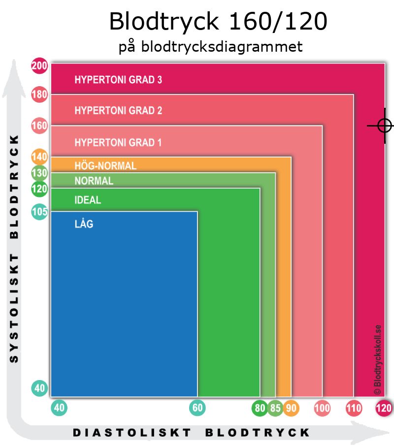 Blodtryck 160 över 120 på blodtrycksdiagram