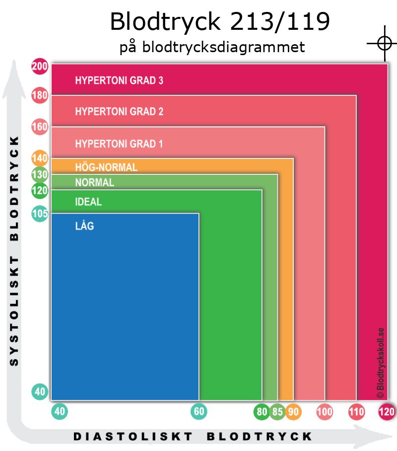 Blodtryck 213 över 119 på blodtrycksdiagram
