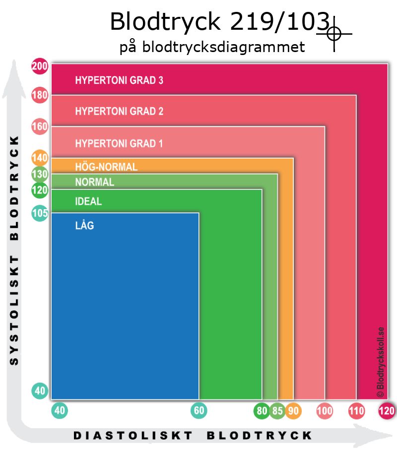 Blodtryck 219 över 103 på blodtrycksdiagram