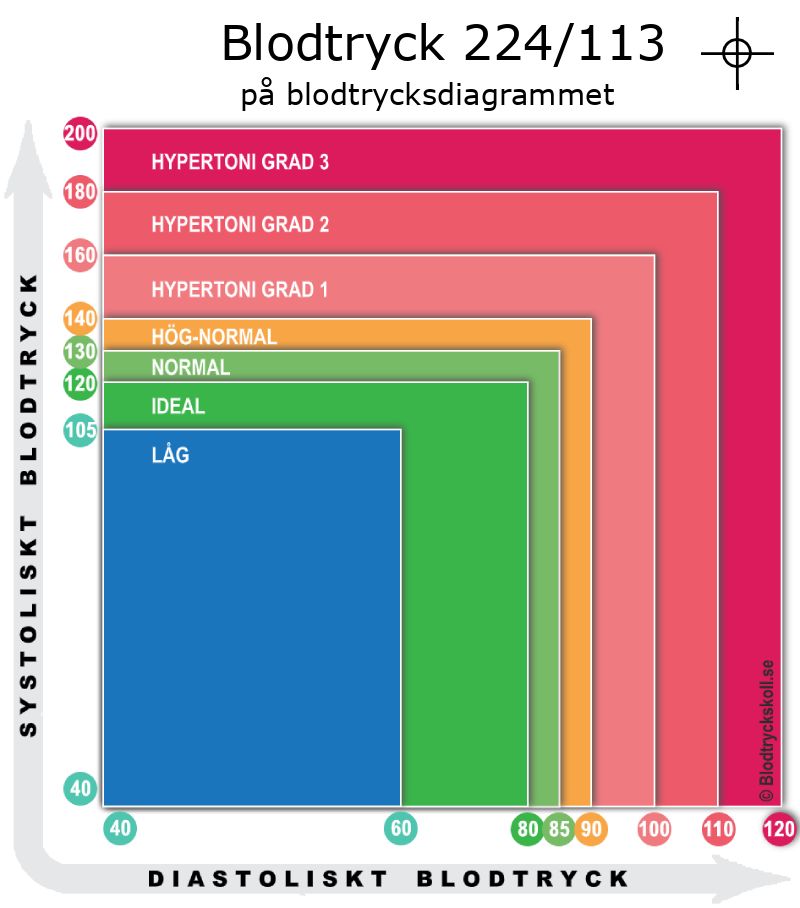 Blodtryck 224 över 113 på blodtrycksdiagram