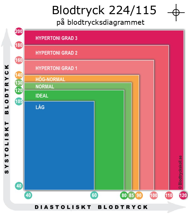 Blodtryck 224 över 115 på blodtrycksdiagram